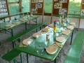 Kleine Schweineschule Mai 2009 