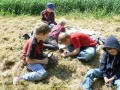 Kleine Schweineschule Mai 2009 